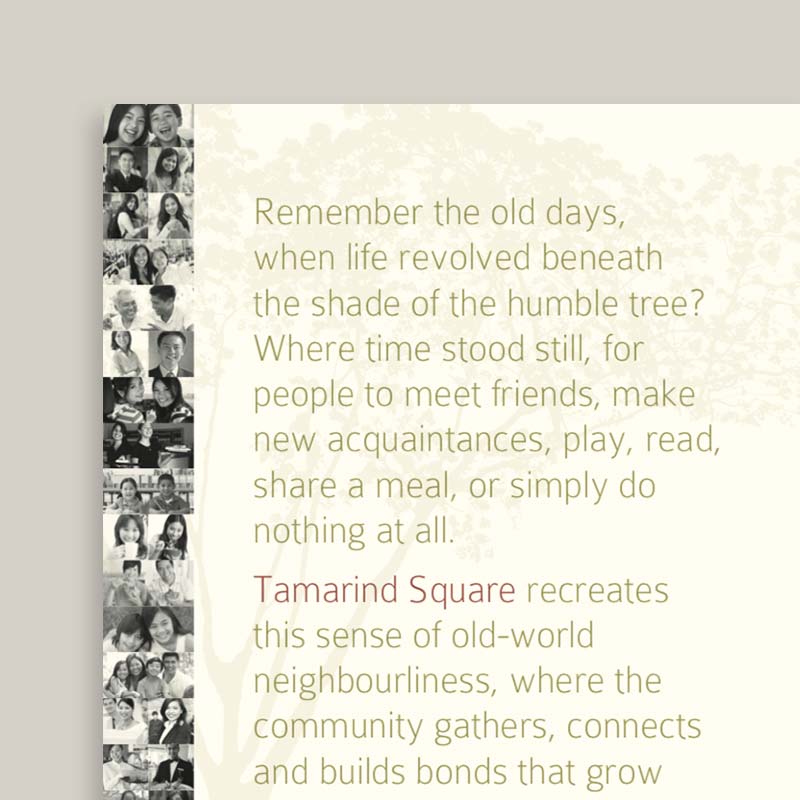 Tamarind Square brochure